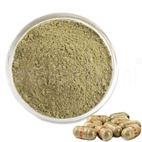 Compléments en gros à base de plantes pour la prise de poids, pilules naturelles de ginseng pour renforcer la rate, capsules et poudre pour prendre du poids