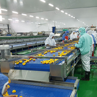 Turnkey Project Ingeblikt Fruit Perzik Ananas Schoonmaken Vulling Verpakking Verwerking Lijn