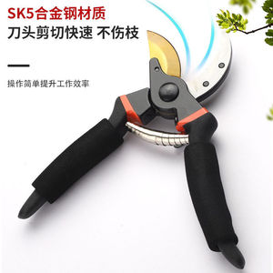 Sécateur de précision allemand en acier allié SK5, cisaille bypass pour jardinage, arbres fruitiers, fleurs, usage domestique, 20-30 mm - Product Image 1