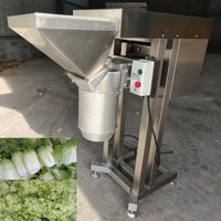 Industriële hoog-efficiënte groentepureemachine van roestvrij staal, tomaten- en uienknijper voor sauzenproductie in fabrieken