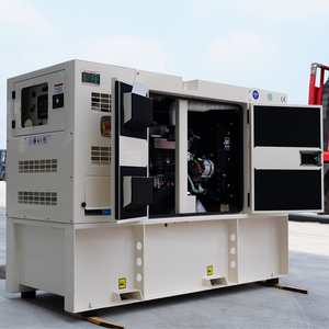 Generador Diésel Insonorizado para Exteriores <span class=keywords><strong>de</strong></span> 20kW/30kW/30kVA, Fabricado en China, con Motor Perkins <span class=keywords><strong>de</strong></span> 20kW - Product Image 3