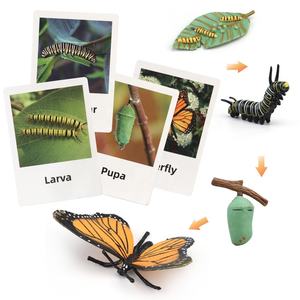 Giocattoli del ciclo di vita statuette di animali che insegnano aiuti per bambini <span class=keywords><strong>Montessori</strong></span> giocattoli educativi di <span class=keywords><strong>apprendimento</strong></span> precoce in età prescolare per bambini piccoli - Product Image 4