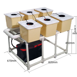 Sistema de cubo holandés o Bato con 6 cubos de maceta Soportes Bomba de tanque de <span class=keywords><strong>riego</strong></span> por goteo <span class=keywords><strong>Material</strong></span> PP para tomates Fresas - Product Image 6