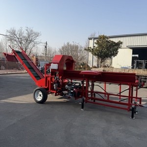 <span class=keywords><strong>Fendeuse</strong></span> à bois à essence avec alimentation par chaîne, diamètre de fendage 60 cm, 20 CV - Product Image 5