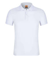 Sport Plus Size Heren Poloshirts voor Heren, Polyester Poloshirt Golf Dames Op Maat Geborduurde Heren Casual Polo T-Shirt Groothandel
