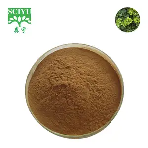 Extracto de hoja de hiedra 10% Hederacoside Hedera extracto en polvo