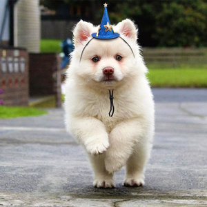Sombreros para mascotas <span class=keywords><strong>de</strong></span> vacaciones, sombreros para perros y gatos <span class=keywords><strong>de</strong></span> Halloween, decoraciones ajustables, sombreros novedosos divertidos <span class=keywords><strong>de</strong></span> lino <span class=keywords><strong>tejido</strong></span> mixto - Product Image 6