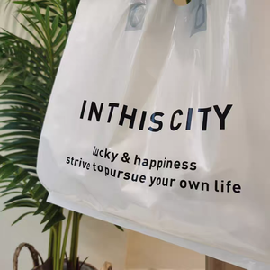 Sac de shopping en plastique avec logo personnalisé, poignée, transparent, LDPE, écologique, imperméable, emballage de vêtements de détail, cadeau - Product Image 6