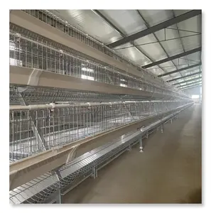 Cage à volailles d'occasion avec batterie pour poules pondeuses cage à poulets à vendre