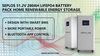 Paket Baterai Lithium Ion Seplos MASON 51.2V 230Ah 280Ah 314Ah 15KWh 16KWh dengan BMS V19