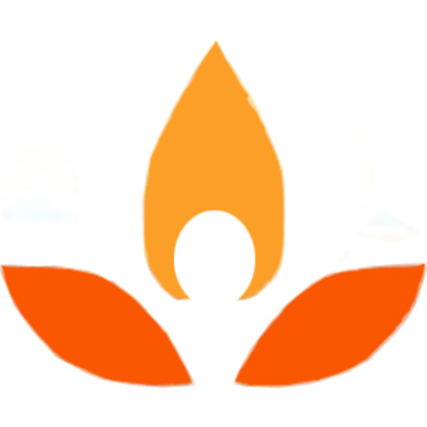 Shenzhen Orangehome Technology Co., Ltd. logo