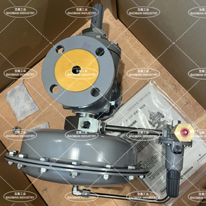 ชุดลดแรงดันลมแบบนิวแมติก รุ่น 1098-EGR พร้อมตัวบ่งชี้สถานะ - Product Image 3