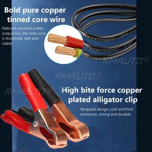 AUTSOME Cargador de Batería Eléctrico Universal de 12V/24V para Automóviles, Camiones, Barcos y Motocicletas - Product Image 5