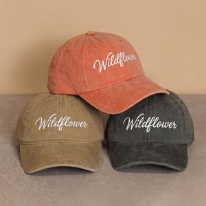 Casquettes de baseball personnalisées à 6 panneaux avec logo brodé, en coton lavé, non structurées, style « dad hat » - Product Image 1