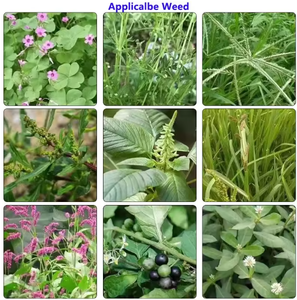 <span class=keywords><strong>Herbicida</strong></span> Glifosato 480 G/L SL 360 % 41% SL Glifosato Líquido Sal de Amonio Glifosato WDG 75.7 Herbicidas WDG para la Agricultura - Product Image 5