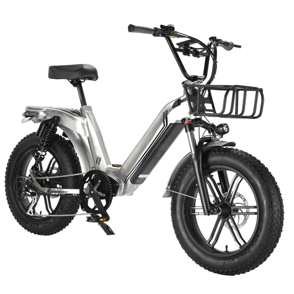 Auto elettrica pedale di trasporto per adulti batteria per auto batteria al litio 48V bicicletta elettrica maschio E femmina E bici