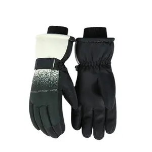 Ski Gloves Plush lining Sport Winter Windproof Waterproof Anti-slip Snowboard Glove Sensitive Touch Screen Skating Gloves