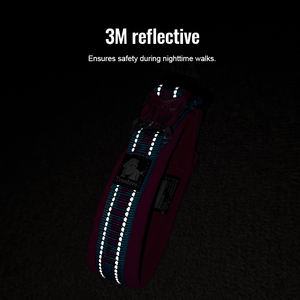 Truelove naylon yansıtıcı yumuşak neopren toptan ayarlanabilir köpek tasması evcil hayvan tasmaları ve tasmalar tüm mevsim nefes eğitim - Product Image 3