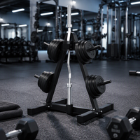 Équipement de fitness à domicile Aichen, support de barre multifonctionnel pliable en métal avec barres et organisateur de plaques de poids