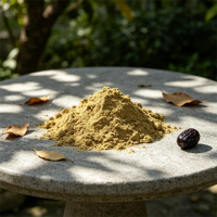 100% Zuivere Zwarte Jujube Poeder Voedingskwaliteit Natuurlijk Gedroogd Zwarte Jujube Fruitpoeder