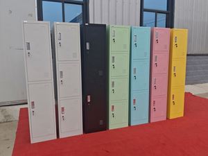 Single 2 Door Locker Clothing Changing Locker Durable Steel Storage Locker for School Gym Double <b>Lock</b> 2 Tier <b>Wardrobe</b> - Product Image 6