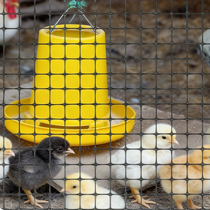 Fabrikverkauf: Premium-Kunststoff-Hühnerdrahtgeflecht für Hühnerställe und Hühnerkäfige - Product Image 2