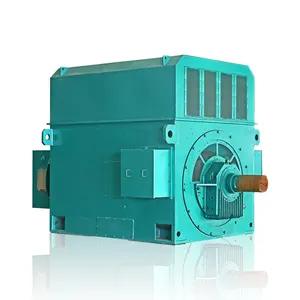 Induction (elec.) High-voltage AC generator motors Y5002-6 900kW 6kV 50Hz factory supply