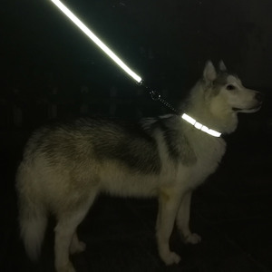 चिंतनशील कुत्ते बिल्ली कॉलर पिल्ला चिहुआहुआ बुलडॉग आउटडोर चलने समायोज्य पोर्टेबल विरोधी काटने कॉलर प्रशिक्षण - Product Image 4