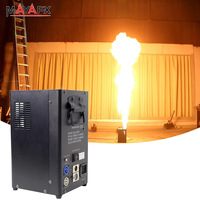 Mini projecteur de flamme GPL avec contrôle DMX et hauteur de flamme de 1-2 m pour concerts en extérieur/intérieur, spectacles de DJ et événements disco