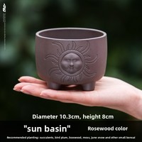 Pot de fleurs minimaliste de grand diamètre pour petites succulentes, en résine plastique imitation céramique argileuse, avec contrôle des racines