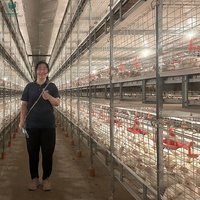Cage de poulets de chair de type H à environnement contrôlé avec système de récolte par chaîne pour 50 000 oiseaux, ferme avicole commerciale à grande échelle en Russie