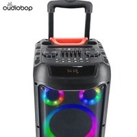 Enceinte portable sur chariot 60W du fabricant Speaker Manufacturer, double haut-parleur 8'', affichage numérique, karaoké audio, double microphones sans fil, fonction TWS