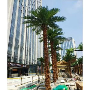 5 Meter Nhân Tạo <span class=keywords><strong>Palm</strong></span> Tree Fan <span class=keywords><strong>Palm</strong></span> Tree Quảng Châu Chất Lượng Cao Nhà Máy Cung Cấp Nhân Tạo Cây Cọ - Product Image 2