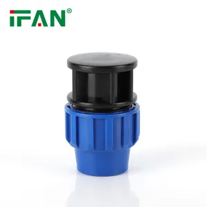 IFAN Fast Delivery PE Compression Fitting Plug PN16 Water Tube HDPE Pipe Fitting
