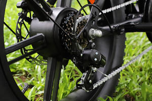 Bicicletta <span class=keywords><strong>Elettrica</strong></span> V20 da 20 Pollici 48V 15Ah con Telaio in Acciaio Fatbike Batteria al Litio 250W Motore Posteriore LCD da 20 Pollici 7 Velocità V20 Pro - Product Image 4