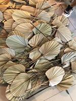 2026 Les feuilles de palmier séchées de grande taille, très vendues, pour la maison, les événements, les mariages, la décoration et les bouquets de fleurs