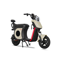 Motocicleta Eléctrica de Dos Ruedas Estilo Harley de 1000W, Apta para Adultos, para Deportes y Desplazamientos, con una Autonomía de 40 Kilómetros