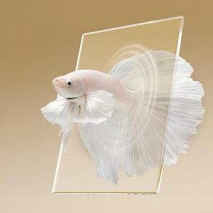 Acuario Pequeño de Escritorio para Peces Betta, Goldfish y Medusas, de Plástico/Acrílico Ecológico, Juego Completo con Luces para Acuario - Product Image 4