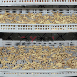 Machine de séchage commerciale pour chips d'ail, sécheuse de légumes, usine de déshydratation pour ail, gingembre et oignon - Product Image 4