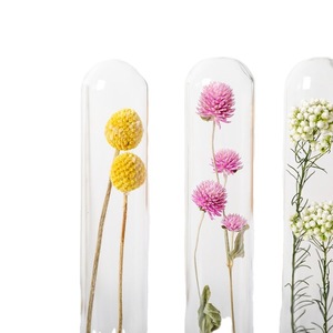 520 regalo del Día de San Valentín regalo de compañía nupcial tubo de ensayo ramo de flores secas flor <span class=keywords><strong>eterna</strong></span> pareja botella de deseos - Product Image 5