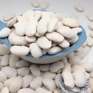 High-quality Factory Wholesale White Kidney Bean Canned Bag Kidney White Beans