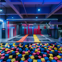 Parc d'attractions intérieur personnalisé de style cyberpunk, conforme aux normes ASTM, pour adolescents, avec toboggans ou trampolines, adapté à tous les âges