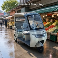 Tricycle électrique à batterie au plomb à prix abordable pour adultes, type ouvert, moto à 3 roues avec auvent