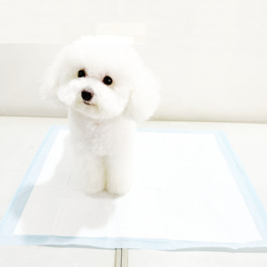 Coussinets absorbants réutilisables 6 plis pour chiens, coussinets d'entraînement pour animaux de compagnie - Product Image 4