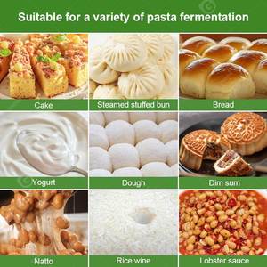 Minirefrigerador vertical de 2 puertas, sin refrigeración, para 16 bandejas, para fermentar masa, Atlas Refrigeration Heating - Product Image 6