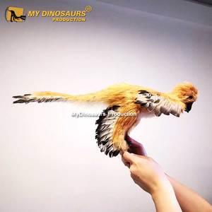 Mi-Dino <span class=keywords><strong>parque</strong></span> temático Animatronic <span class=keywords><strong>loro</strong></span> para venta - Product Image 5