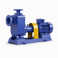 Pompe auto-amorçante 100ZX100-65, 37 kW, 100 m³/h, en fonte pour l'approvisionnement en eau chimique et industrielle