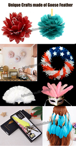 Pluma <span class=keywords><strong>de</strong></span> ganso natural para manualidades DIY pluma ala tocado disfraz sombrero accesorio para el cabello <span class=keywords><strong>carnaval</strong></span> fiesta boda hogar Navidad Decoración - Product Image 5