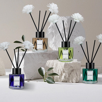 Diffuseur de parfum personnalisé 50 ml pour hôtel et collection d'arômes floraux