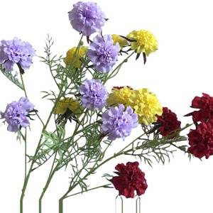 Simulato <span class=keywords><strong>Cordyceps</strong></span> Wedding Hall Lunfengju arredamento per la casa decorazione Hotel creazione del paesaggio, - Product Image 5